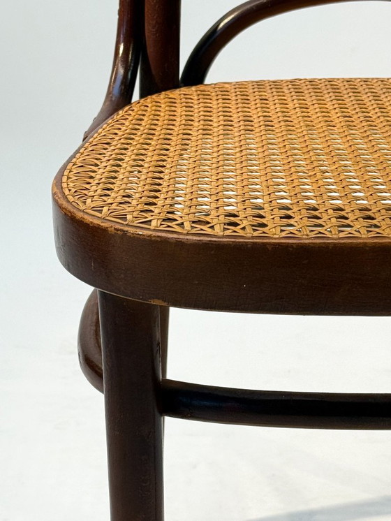 Image 1 of Dining Chairs after Thonet Model 207