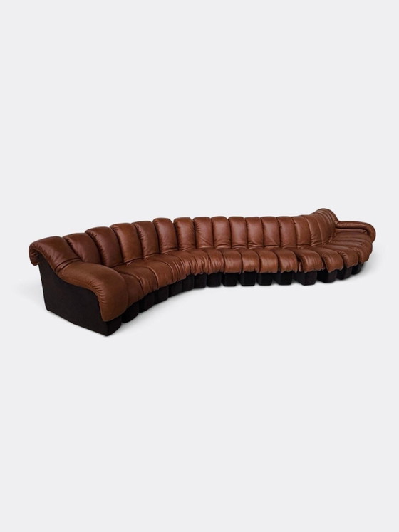 De Sede Ds600 Snake en cuir Cognac, 20 éléments, Canapés modulables, Textile, Marron (photo 11 sur 15)