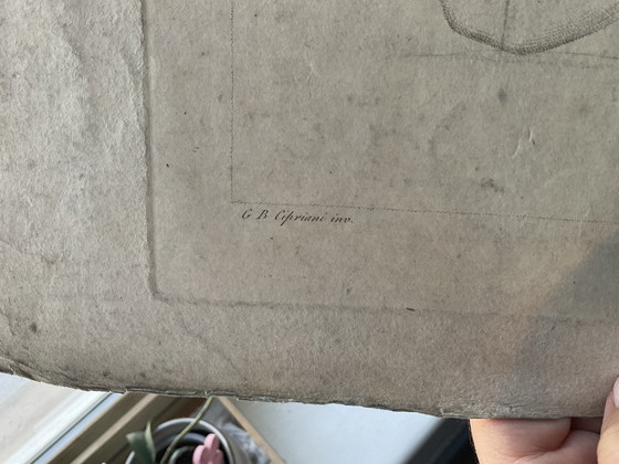 Image 1 of Rare étude anatomique du XVIII ème siècle par Cipriani 