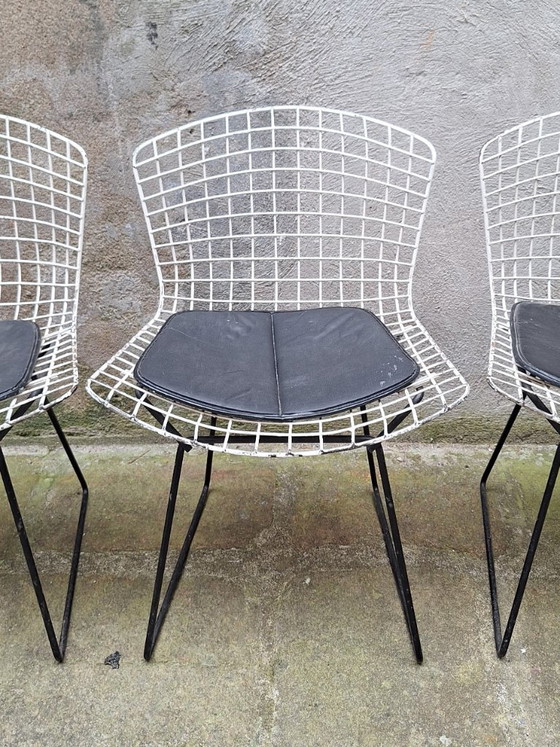 Image 1 of Set van 4 draadstoelen van Harry Bertoia, jaren 60.