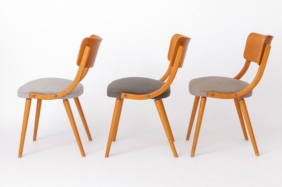 Ensemble de 4 chaises de salle à manger vintage en bois courbé, chaises en hêtre de style Stol Kamnik, style (photo 6 of 9)