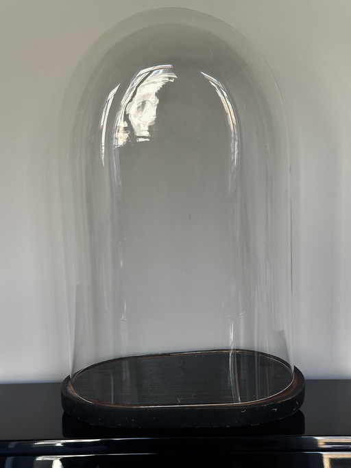 Globe de Mariée Période Art-Nouveau H 56 cm