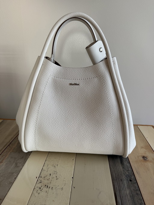 Max Mara bag