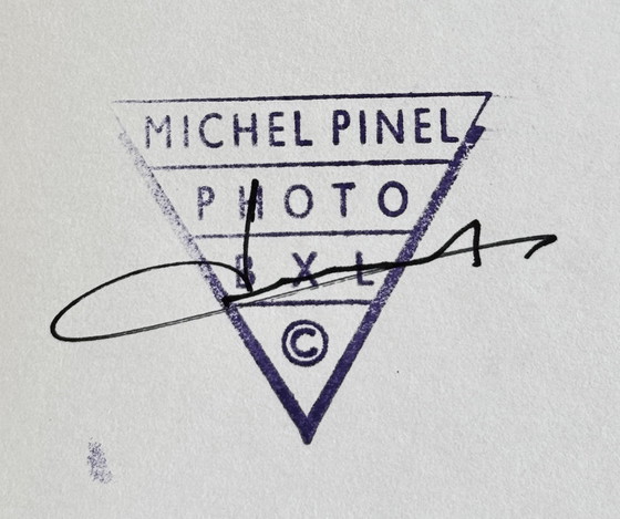 Image 1 of Michel Pinel - zeldzame foto van de schilder Corneille - 2006