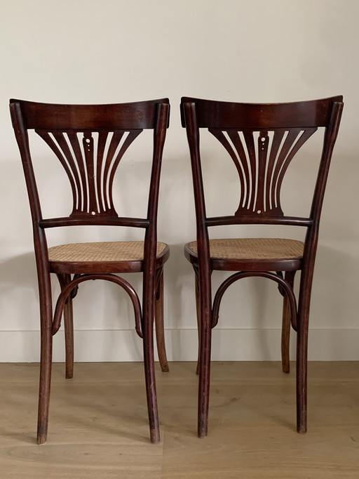 Variante Thonet 221 Stühle