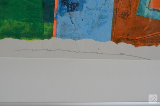 Image 1 of Bellissima serigrafia di grandi dimensioni, incorniciata con grande cura, realizzata da Jos Verwiel.