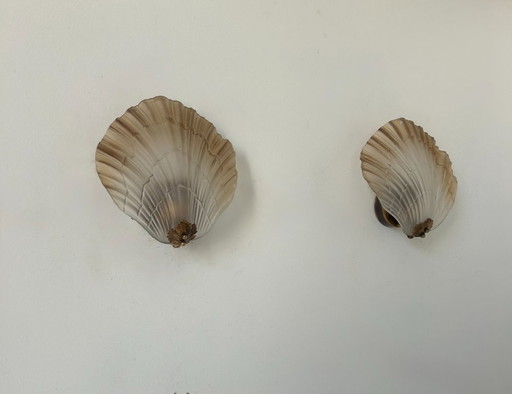 Coppia di appliques a conchiglia, vetro e ottone, Francia 1960