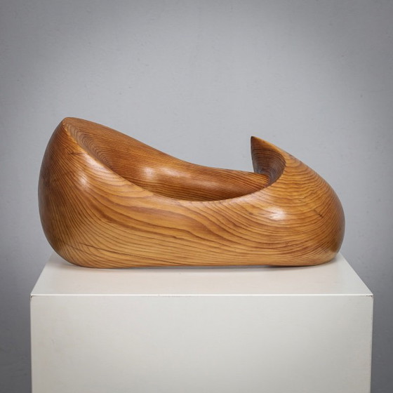 Image 1 of Flying Solo, Organic Sculptural Form by Ineke van Zuuren, 1970s