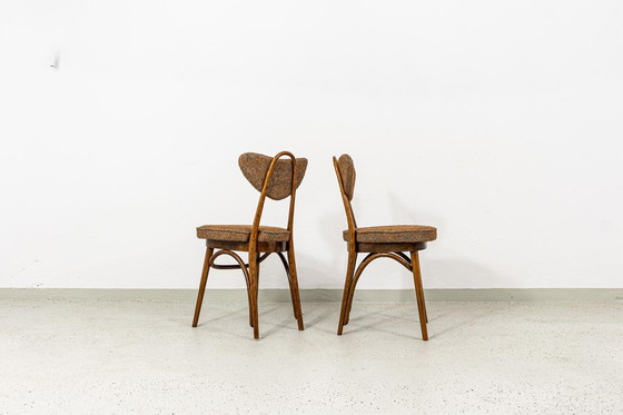 Image 1 of Satz von 6 Esszimmerstühlen Nr. 124 von H&J Kurmanowicz, Polen, 1950er Jahre