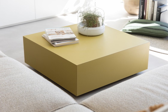 Image 1 of Coffee Table Unique Specimen