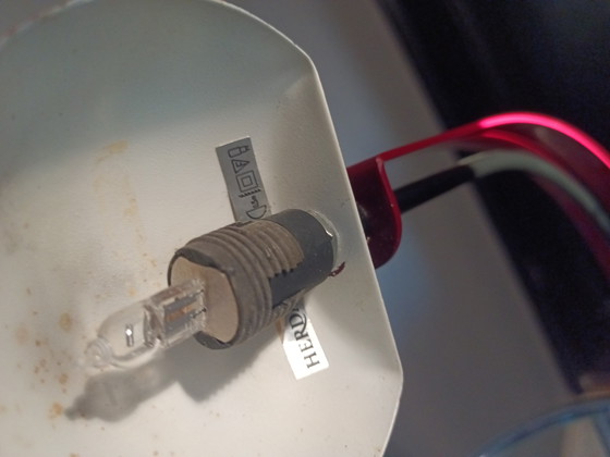 Image 1 of Herda B1412 Holland