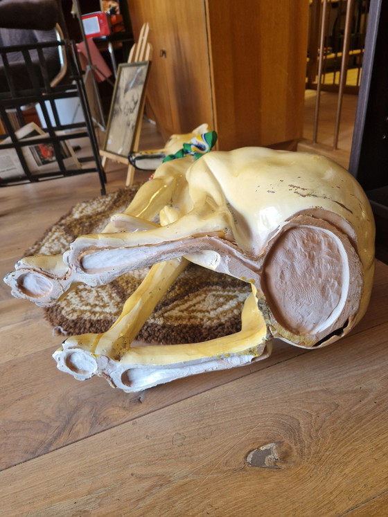 Image 1 of Bassano Greyhound