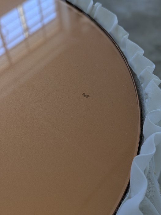 Image 1 of Mobile vintage a forma di fagiolo - Legno, tessuto, vetro