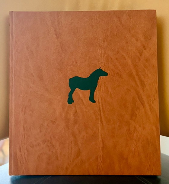 Book Het Brieschend Paard by Rien Poortvliet from 1978, Coffee table books, Paper, Brown (photo 15 of 15)