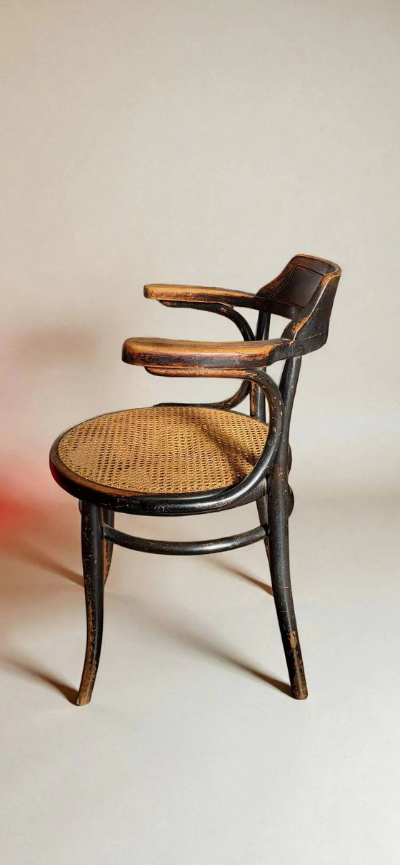 Sillón Thonet No. 6003 – Sillones, Wood (photo 6 of 11)
