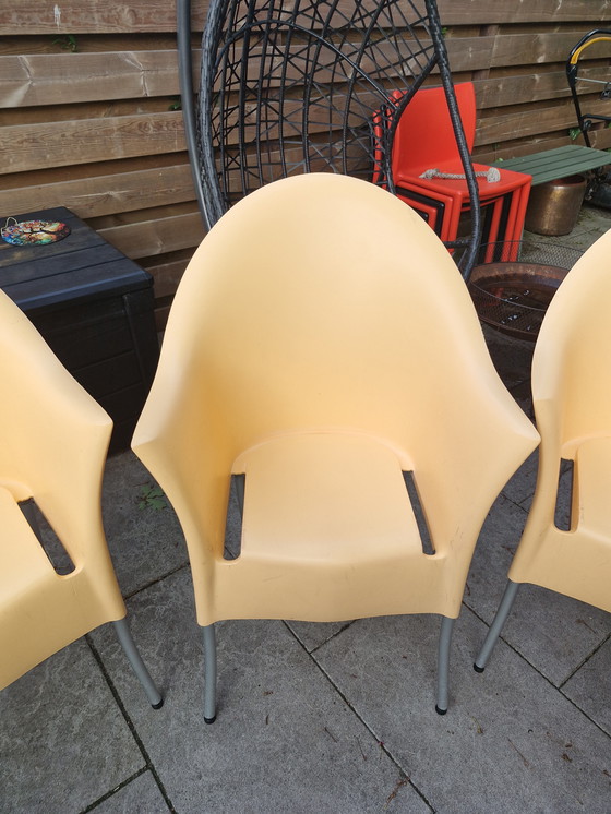 Image 1 of 10 x signore yo driad