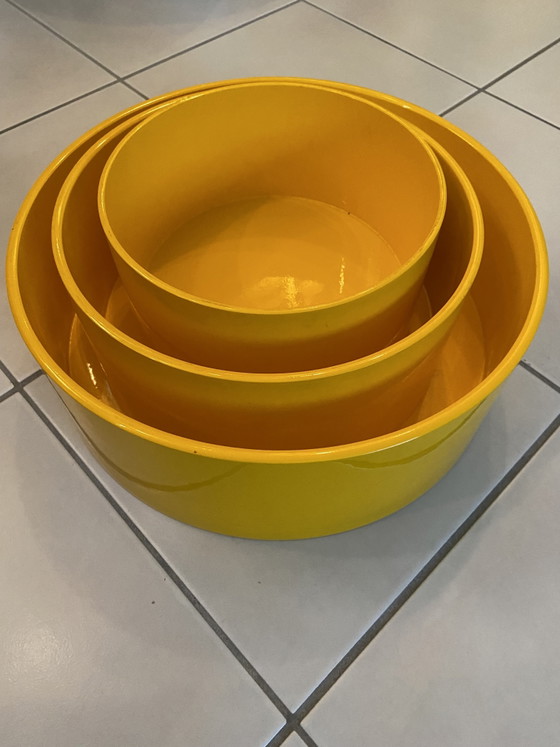 Image 1 of 3 unused NEBU design (plant) containers
