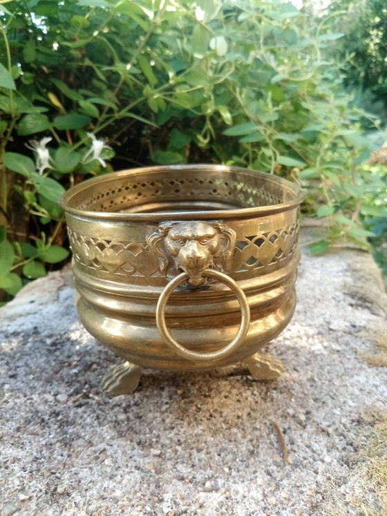 Macetero grande de latón con león, estilo Art Nouveau – Macetas, Brass (photo 3 of 5)