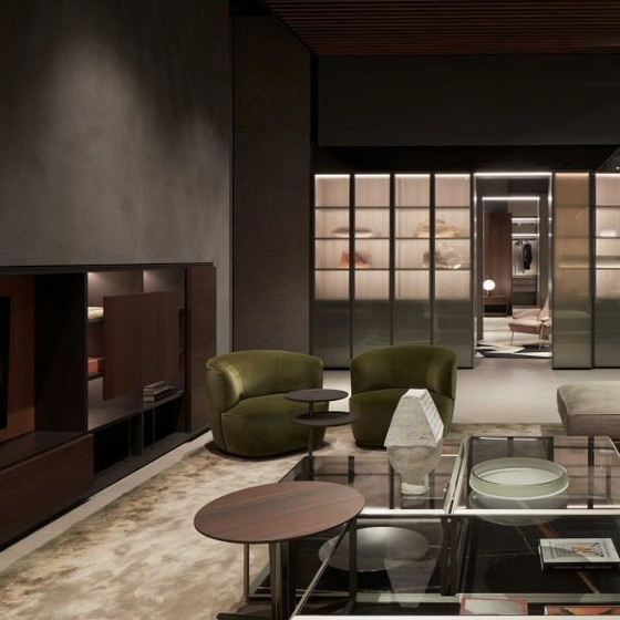 Image 1 of Poltrona Elain Molteni&C