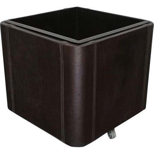 Jardinière vintage en cuir série Ds47 par De Sede
