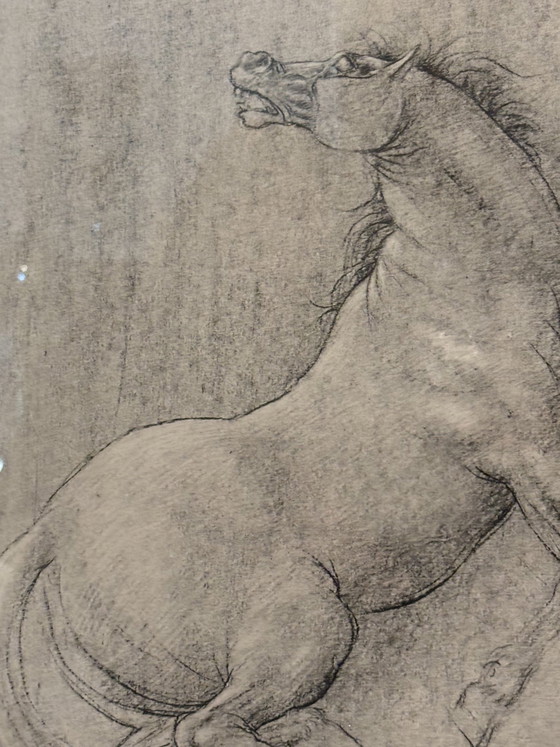 Francesco Messina Horse Lithograph, 1960s – Paintings & Drawings, Paper, Figuratief (photo 7 of 9)