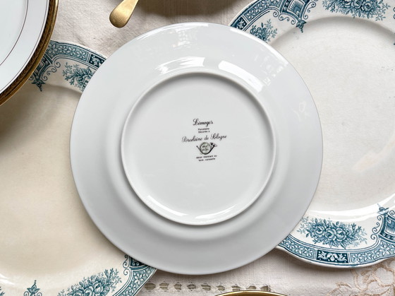 Image 1 of 7 piatti in pietra di ferro blu Onnaing + 7 piccoli piatti in porcellana di Limoges spaiati