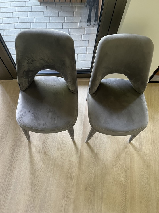 Image 1 of Silla sagrada Pols Potten de terciopelo gris