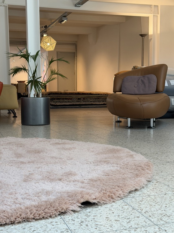 Image 1 of Tapis rond plat Brink and Campman Longbarn NEUF