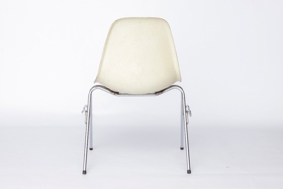 Image 1 of Charles Eames Fiberglass Chair – Model DSS, Mid-Century Modern Design uit de jaren 50, Vintage Origineel met Metalen Onderstel