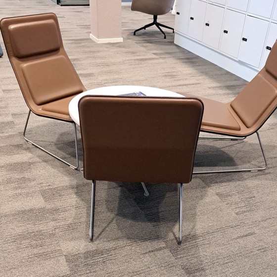 Image 1 of 3x Poltrone basse Cappellini