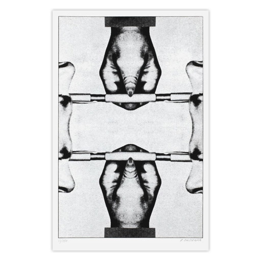Roman CIESLEWICZ Parallèle Sérigraphie signée 1974