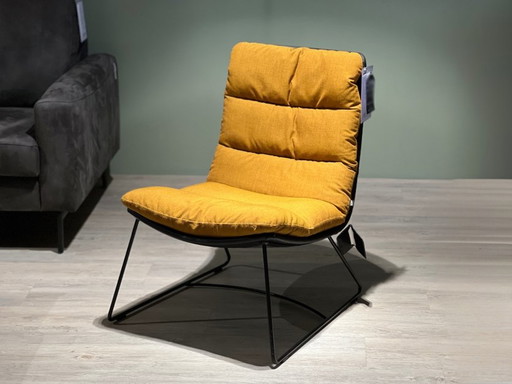 Arva