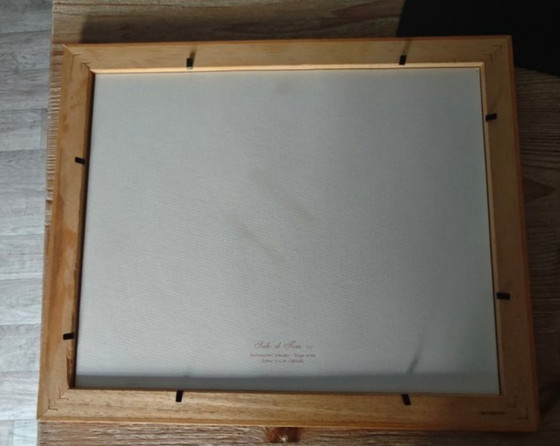 Image 1 of Sale el Toro frame, Monzón