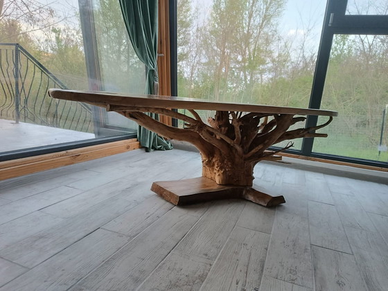 Image 1 of Noble Root - Der Inbegriff von Bio-Luxus