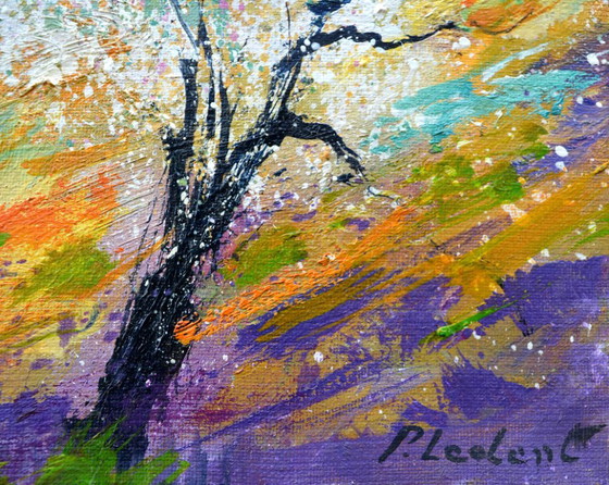 Mandelbäume im Frühling in der Provence – Gemälde & Zeichnungen, Canvas (photo 10 of 11)
