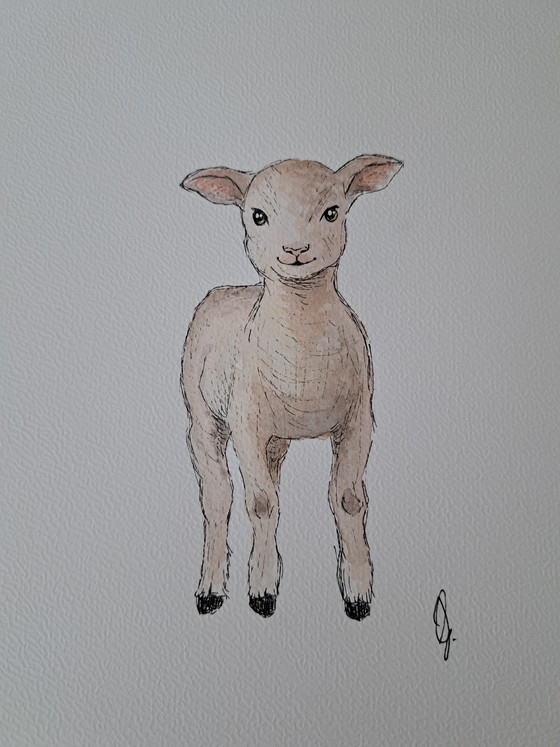 Image 1 of Acquerello raffigurante un agnellino e una pecora in una cornice.