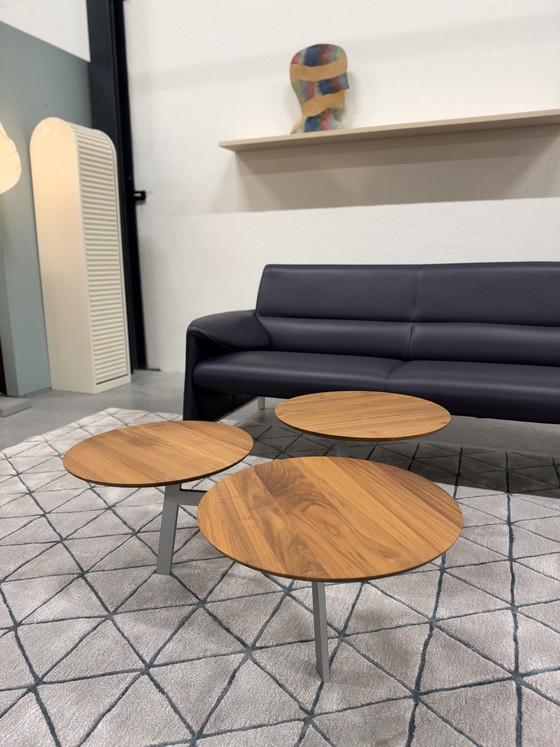 Leolux Ninfea Coffee table walnut houf, Wood, Multi Color (photo 9 of 14)