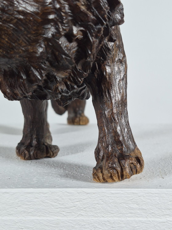 Antieke handgesneden Afrikaanse hardhouten sculptuur, dierenbeeldje: leeuw – Beeldhouwkunst, Wood (photo 11 of 15)