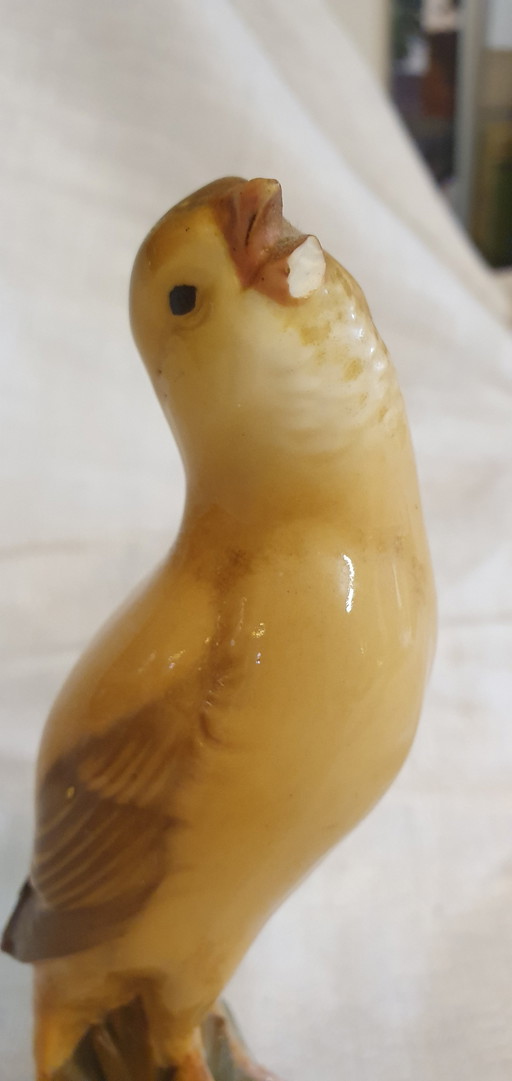 Canary of Nymphenburg