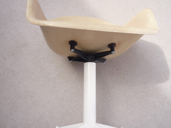 Image 1 of Eames Shell Chair / Sessel