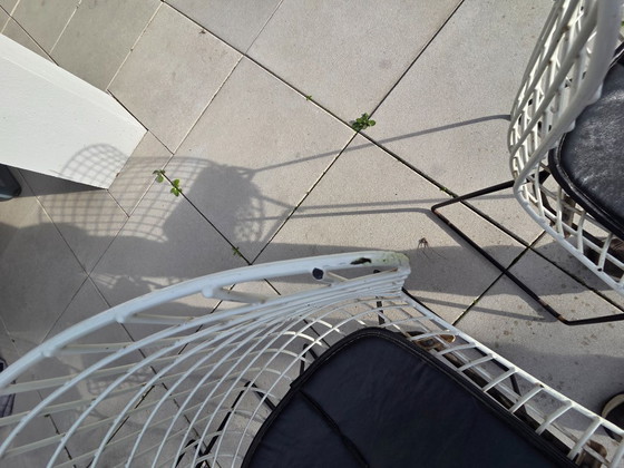 3 vintage Harry Bertoia chairs (Knoll) – Dining chairs, Metal (photo 6 of 8)