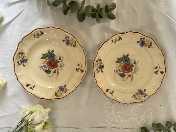 Image 1 of Set of 2 Sarreguemines plates