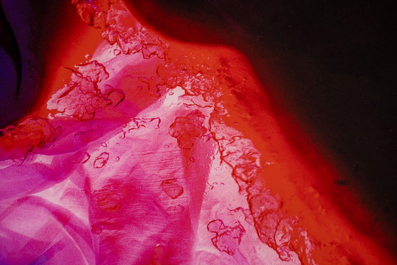 Image 1 of Ragazza appiccicosa | 2002