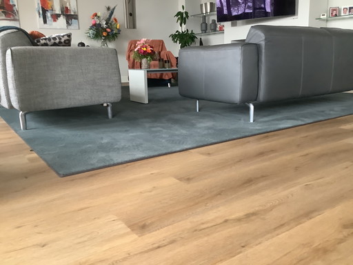 Dessel rug