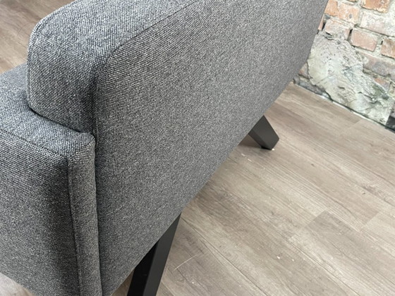 Image 1 of Anche la banca dello Zoo