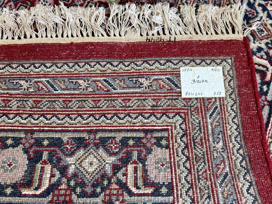 Image 1 of Bidjar hand-knotted rug 251 x 342