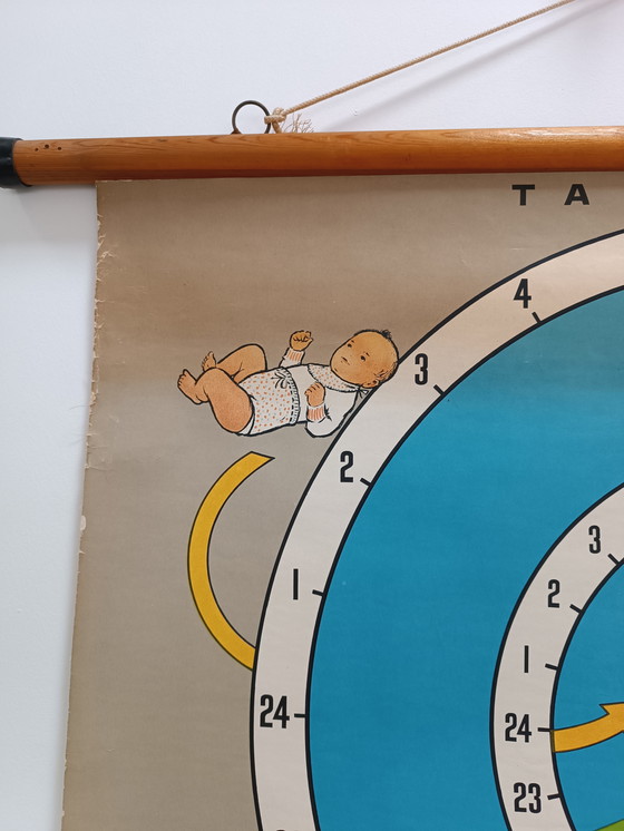 Image 1 of Vintage School Wall Chart - Child Development