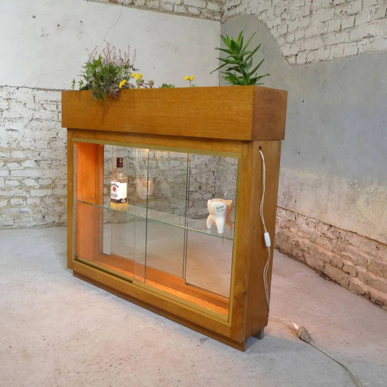 Verlichte plantenbak vitrine uit de jaren 50 – Glas, Vintage (photo 6 of 13)