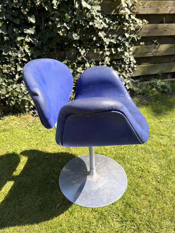 Image 1 of Little tip Artifort (blue)