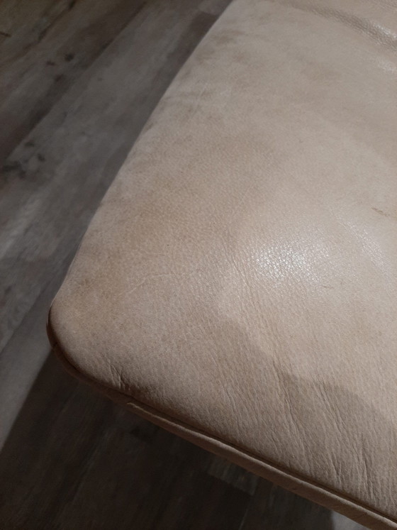 Rosalia – Label, Armchairs (photo 4 of 4)